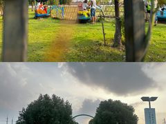 -菊园百果园