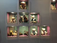 -济州岛泰迪熊博物馆