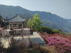 -广州市石门国家森林公园