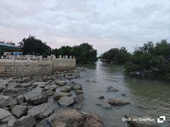 -宝安西湾红树林湿地公园