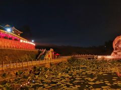 -三水森林公园
