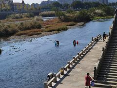 -溪口-滕头旅游景区