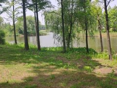 -贡湖湾湿地公园