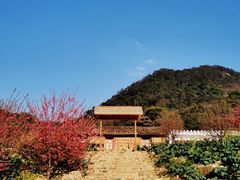 -广州市石门国家森林公园