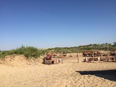 玉龙沙湖-玉龙沙湖景区