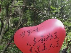 -将军关探险漂流