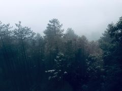 -江南天池