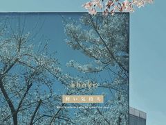 -龙美术馆(西岸馆)