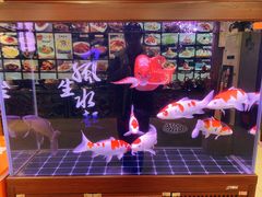 -邵年鸽(杨庄店)
