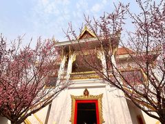 -洛阳白马寺