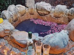 -北京益泉花园酒店