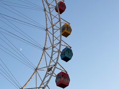 -上海野生动物园