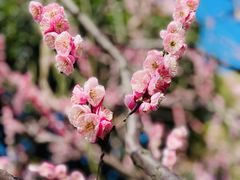 -静安雕塑公园