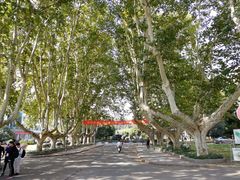 -南京农业大学(浦口校区)