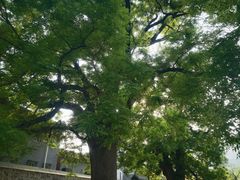 -康陵正德春饼宴26号
