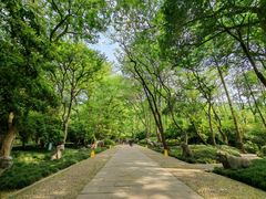-杭州张苍水先生祠