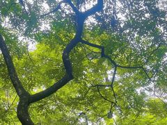 -飞霞风景名胜区