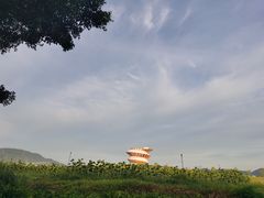 -光明小镇欢乐田园