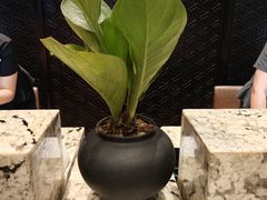 -铂尔登国际酒店(南山深圳湾口岸店)