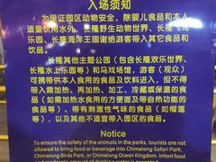 -广州长隆国际大马戏