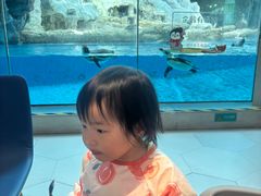 -帝企鹅自助餐厅•儿童岛•真企鹅(长隆企鹅酒店)