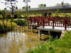 -田心森林公园