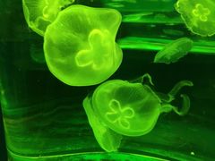 -石林冰雪海洋世界