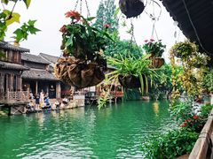 -乌镇西栅景区