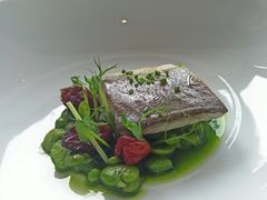 黄鱼-TRB Forbidden City(故宫店)