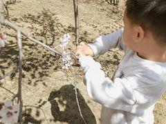 -北京十三陵国家森林公园蟒山景区