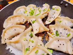 饺子-小金鬼·煎饺·鸽子汤