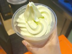-萨朗刀克冰淇淋雪花凉(植物园店)