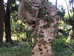 -叶家花园