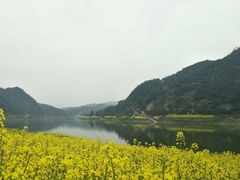 -新安江山水画廊风景区