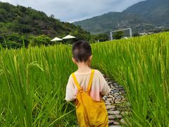 -楠溪江风景名胜区