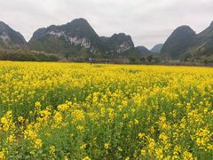 -靖西鹅泉风景区