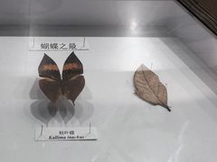 -中国闽台缘博物馆