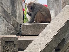 -苏州上方山国家森林公园