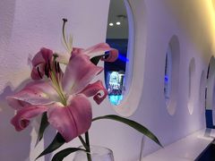 -甜心航空主题餐厅(清远万达广场店)