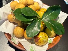 -季季山·云南野生菌火锅(上海首店)