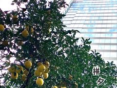 -鹿港小镇(金虹桥国际中心店)