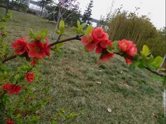 -长安大学(北校区)