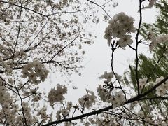 -范蠡湖公园