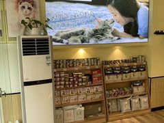 -派联宠物医院·24h·CT·异宠