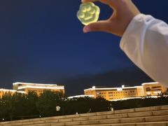 -国家动漫园