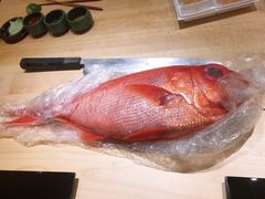 -鮨青(恒基名人购物中心店)