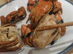 -杨氏青龙虾·羊蝎子(珠江路店)