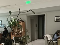 -一尺花园(安和花园店)