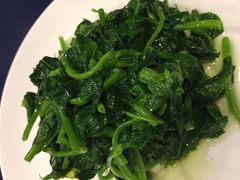 酒香豆苗-老吉士酒家(天平路店)