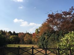 -上海海湾国家森林公园